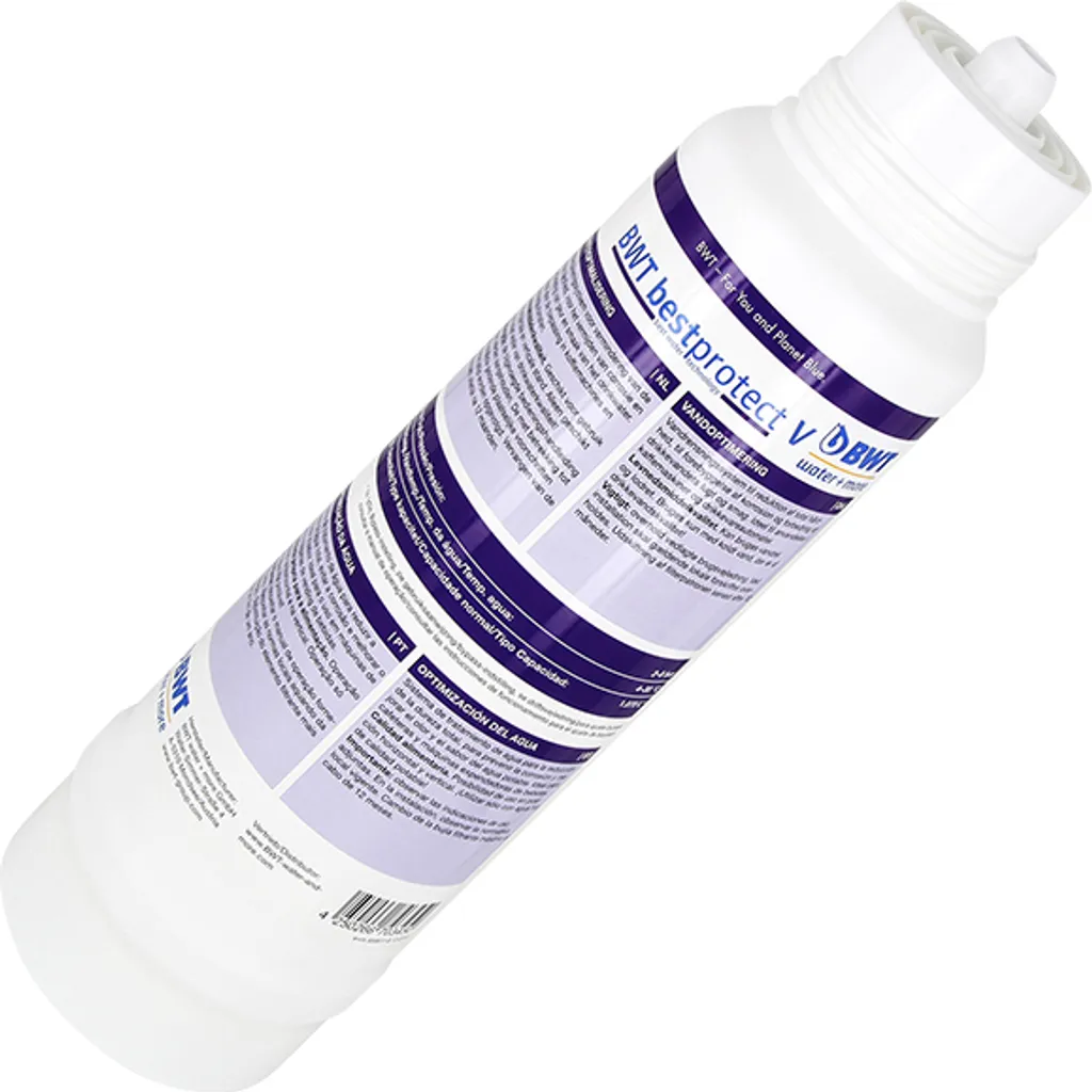 BWT bestprotect V Filtre à eau FS23N00A00 pour Protection Anti-Calcaire