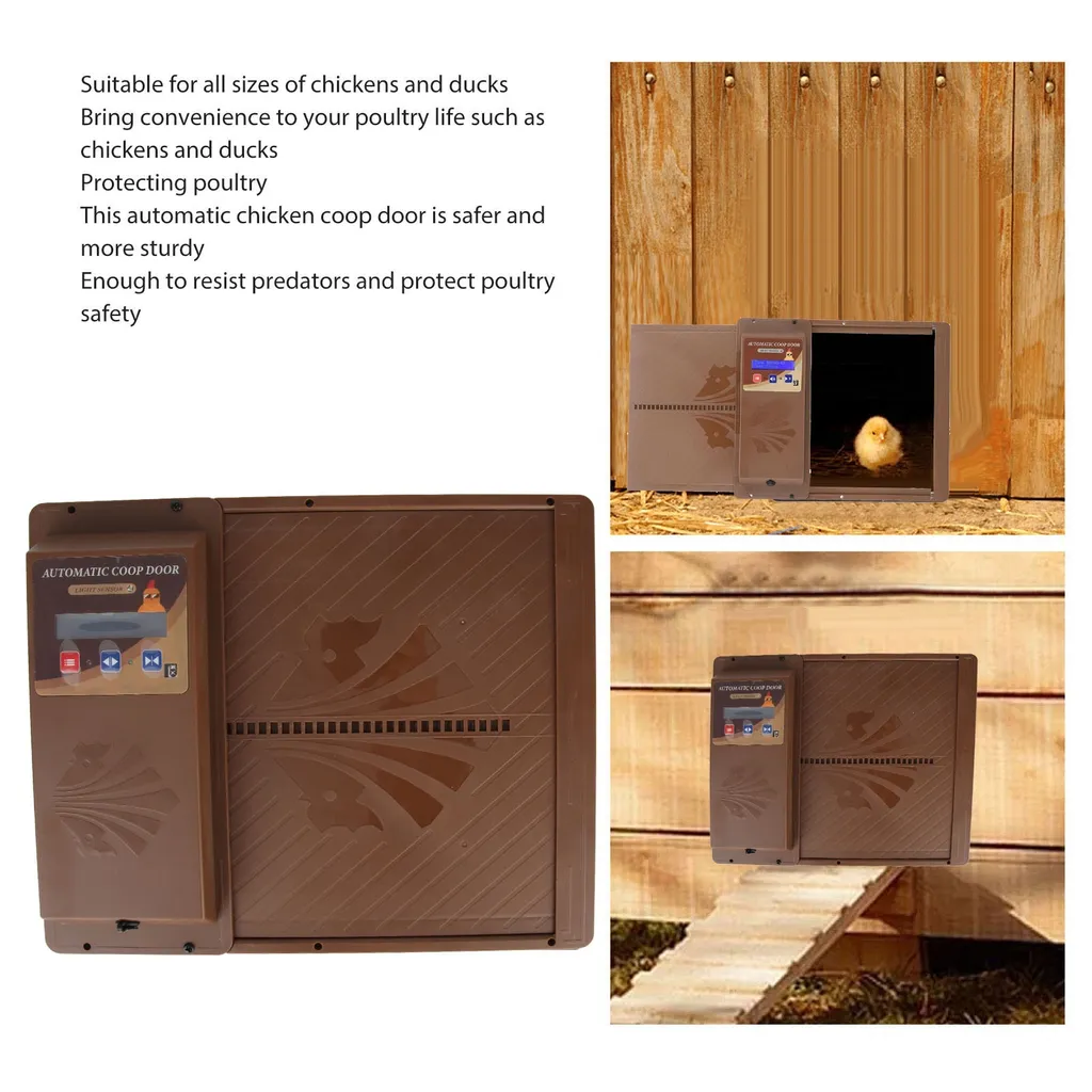 Porta Solare Automatica 3 in 1: Benessere Piumato e Sicurezza - 10