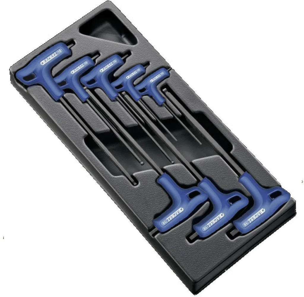 Module douilles 6 pans Expert poignée en T et insert thermoformé noir