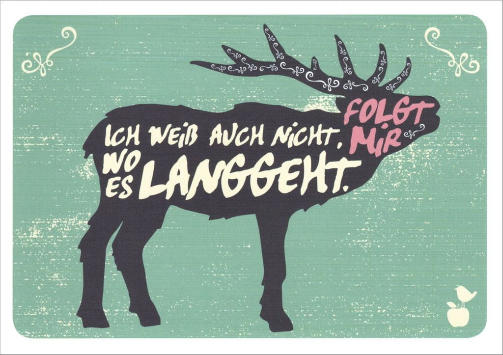Postkarte MainSpatzen "Folgt mir! Ich weiß auch nicht, wo es langgeht."