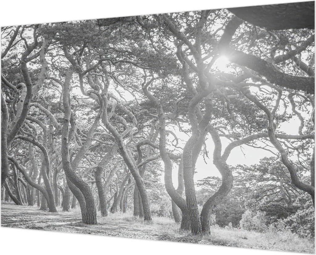 Wandtapete - Dekorative Tapete für Wohnzimmer - Tapetenfolie für Wanddekoration - 152x104 cm - Atmosphärischer Wald