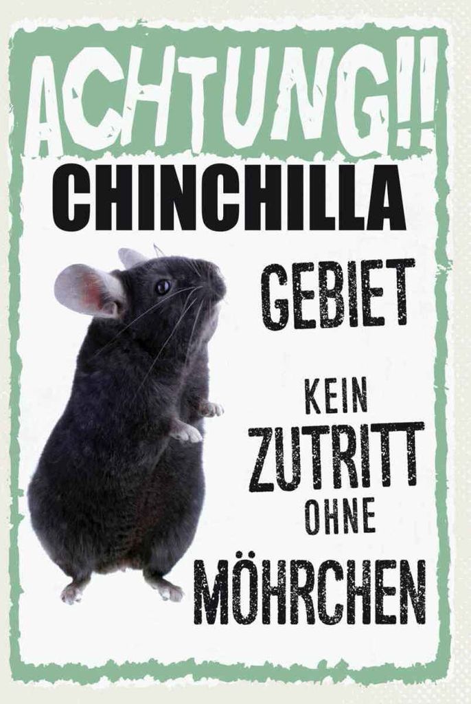 vianmo Holzschild 30x20 cm Tiere Achtung Chinchilla Gebiet