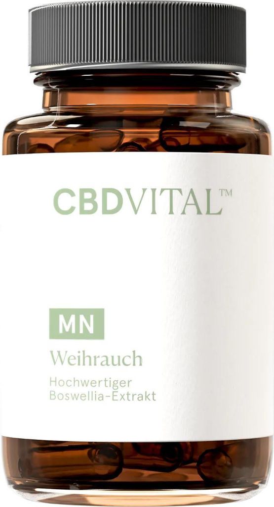 Weihrauch Kapseln | 280 mg Boswellinsäure/Kapsel Produktbild 
