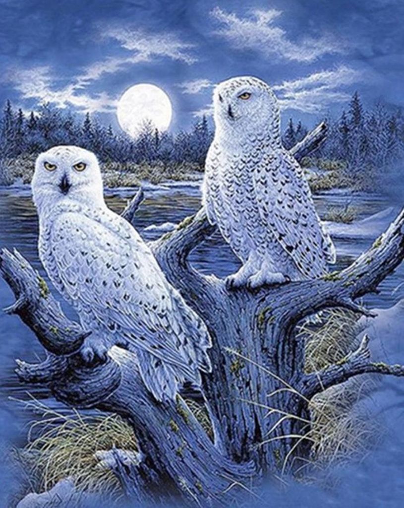 Diamond Painting Vollbild 50x70 cm mit runden Steinen