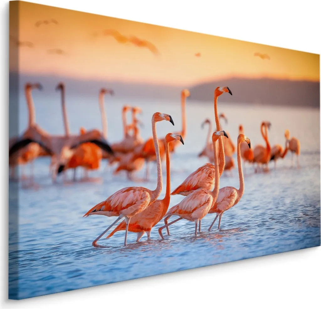Favolosa Tela 90x60 Fenicotteri XXL | Quadro Artistico Uccelli d'Acqua