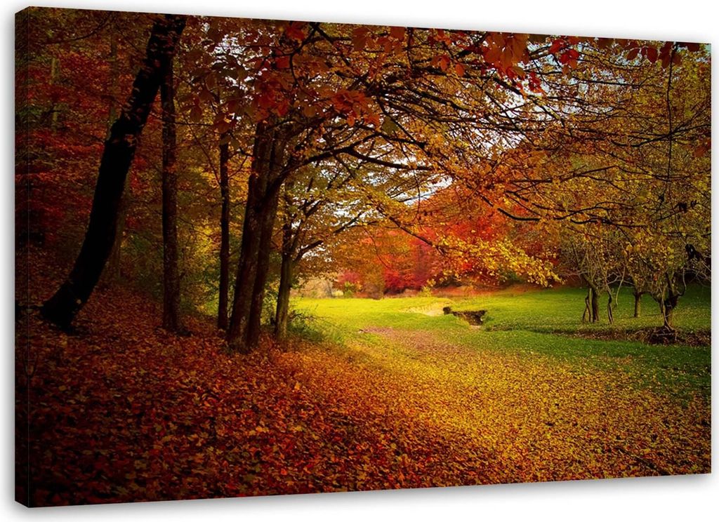 Leinwandbild bäume in einer parklandschaft 100x70 cm Feeby rot wandbild bereit zum aufhängen