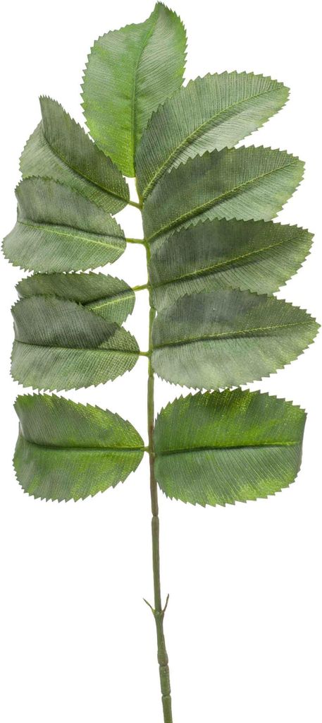 artplants.de Künstlicher Zweig Honigstrauch Pollock, grün, 65cm - Kunst Melianthus Zweig