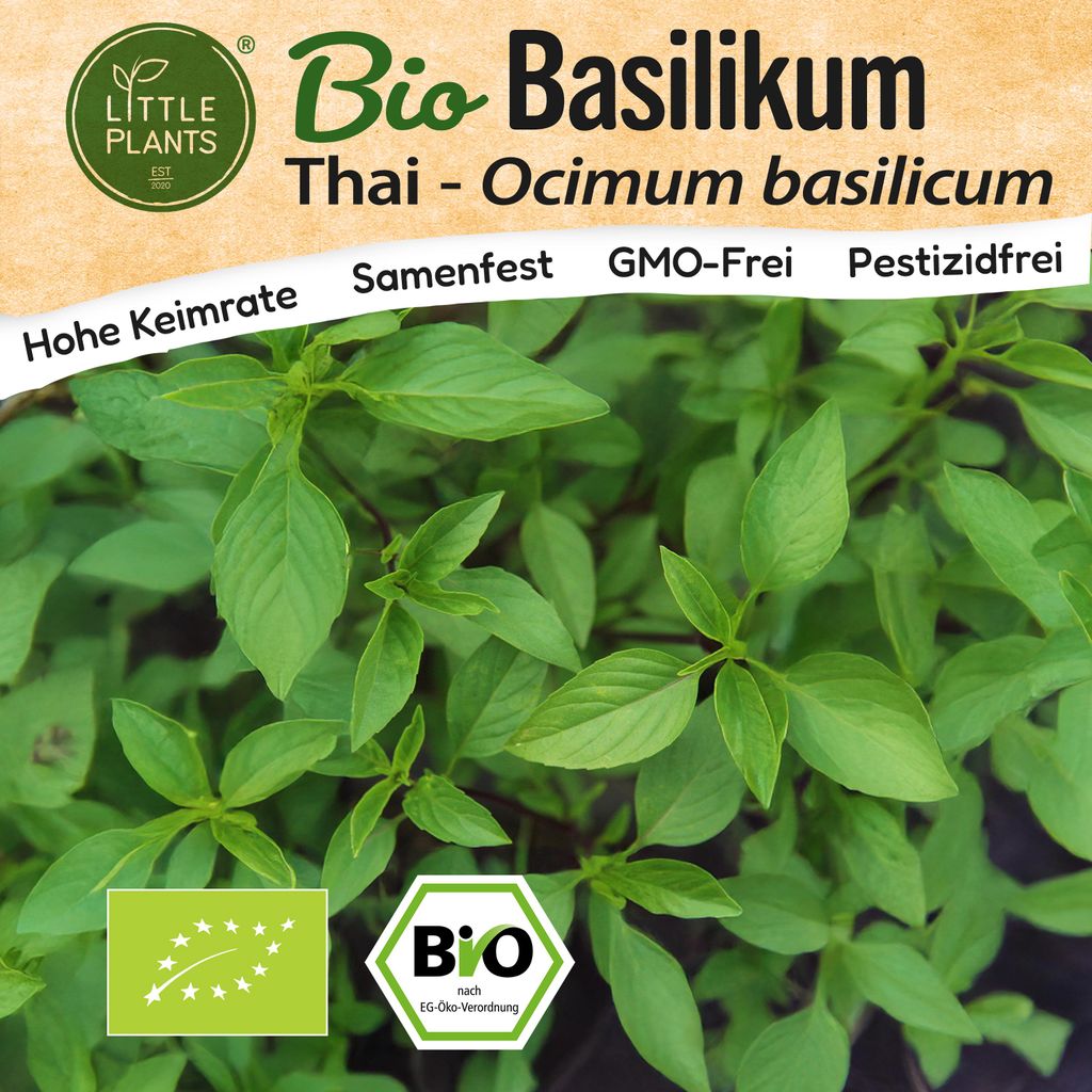 Thai-Basilikum Samen (BIO) - 500 Samen Kräutersamen Basilikumsamen