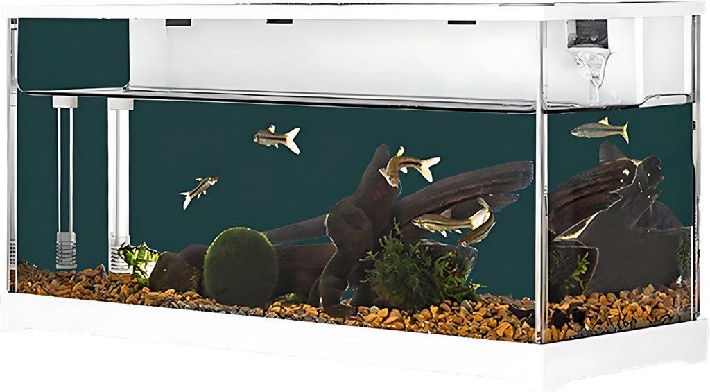 Acryl Betta Aquarium mit LED Beleuchtung – Nano Fischtank mit leiser Pumpe und Filter für Goldfische und kleine Fische
