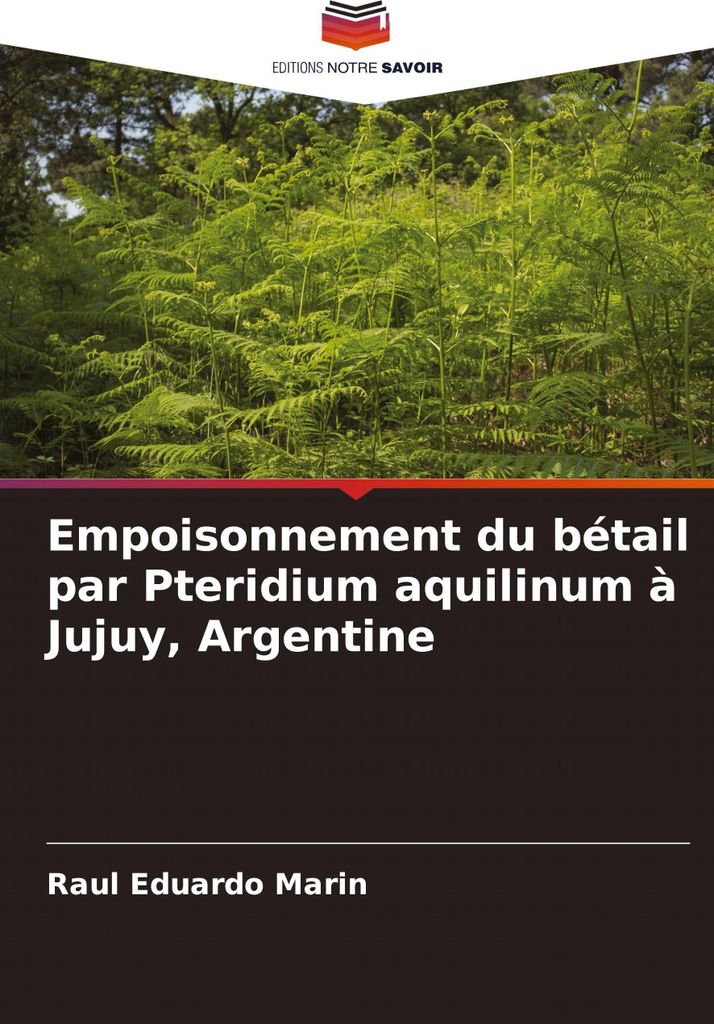 Empoisonnement du bétail par Pteridium aquilinum à Jujuy, Argentine