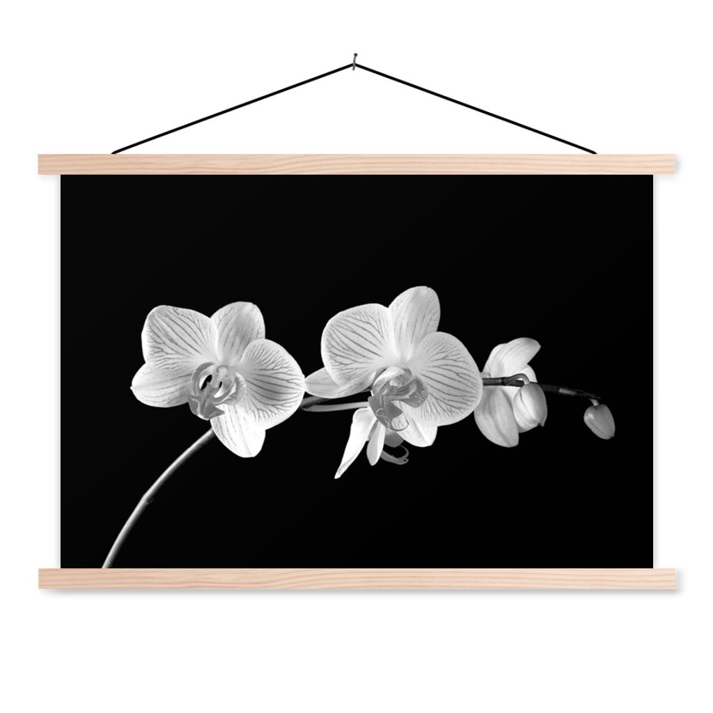 MuchoWow Textilposter Orchidee - Blumen - Schwarz - Rosa - Knöpfe 120x80 cm mit holzfarbenen Rahmen - Aufhängeset