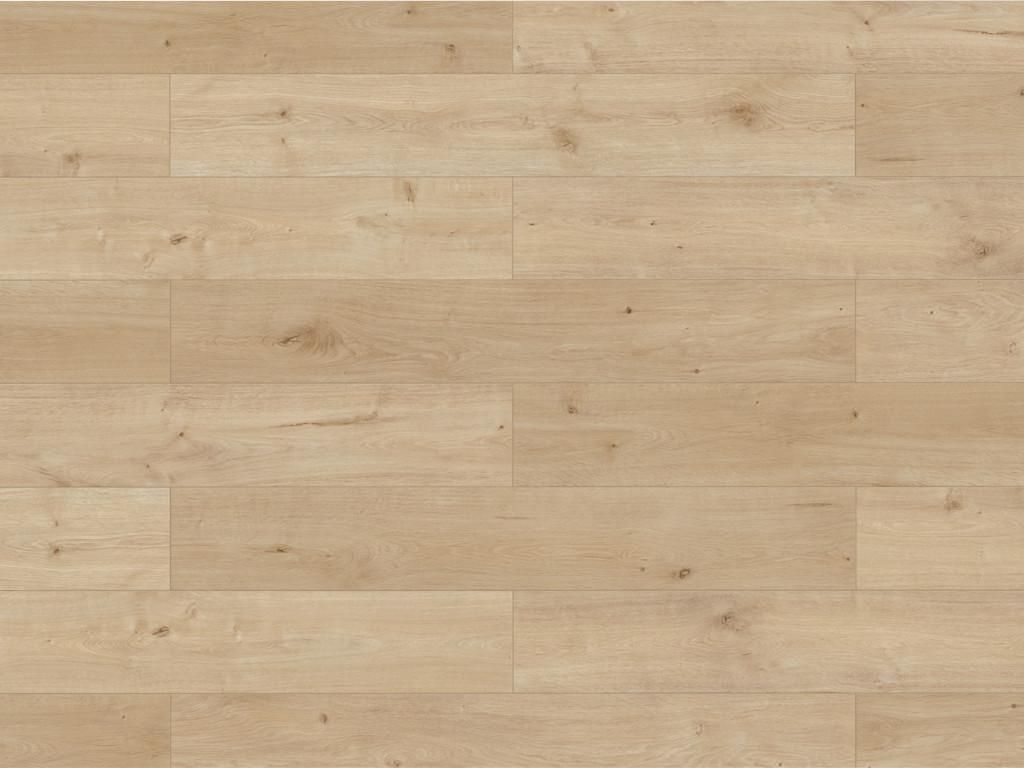 BASICfloor | 2,22 m² | Greige 8 mm Laminatboden Bellemont Oak Landhausdiele, Lifestyle Trend Eiche Nachbildung, Nutzungsklasse 23 32, Klick Verleg...