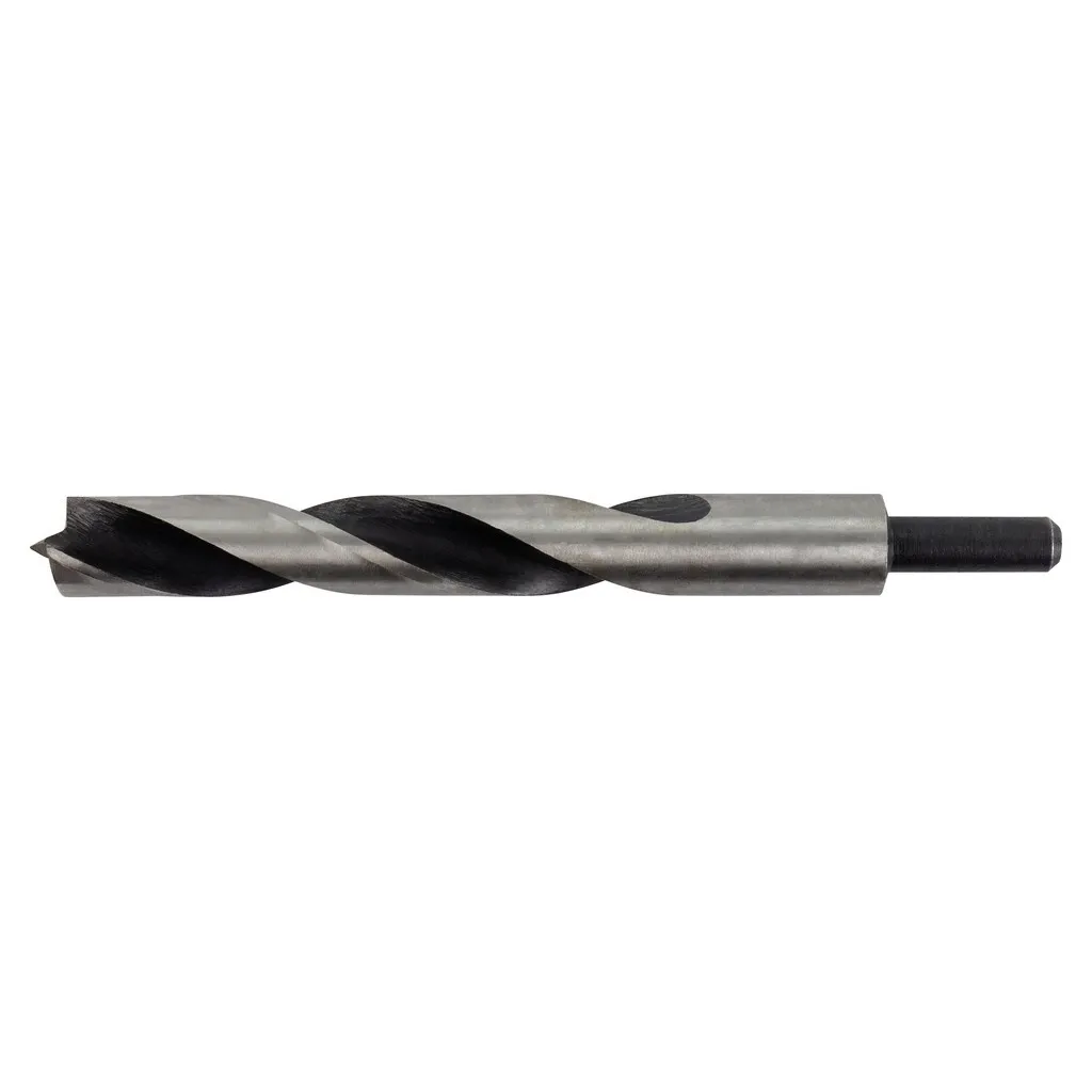 Recensione Makita D-07135 Punta Legno 18x200 mm | Testata
