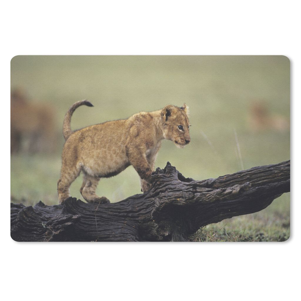 MuchoWow Schreibtischunterlage Löwe - Rüssel - Junge 60x40 cm - XXL Mauspad - Großes Mauspad