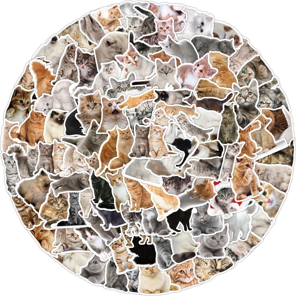 50er-Pack Meme-Aufkleber für Wasserflaschen, Laptops, Handys, Gitarren, Skateboards, Computer, Koffer, Fahrräder – Katzenmotive aus Vinyl, wass...