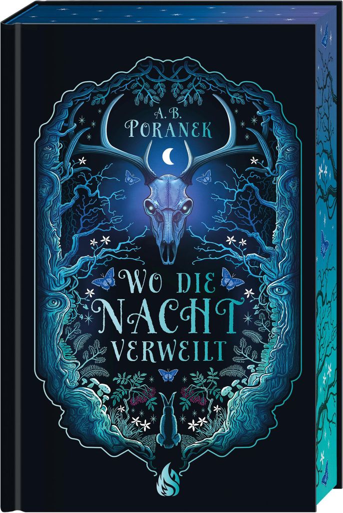Wo die Nacht verweilt Produktbild 