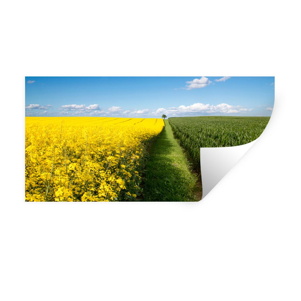 MuchoWow Wandtattoo Wandsticker Wandaufkleber Ein einzelner Baum steht neben einem Rapsfeld in Dänemark 40x20 cm Selbstklebend und Repositionier...