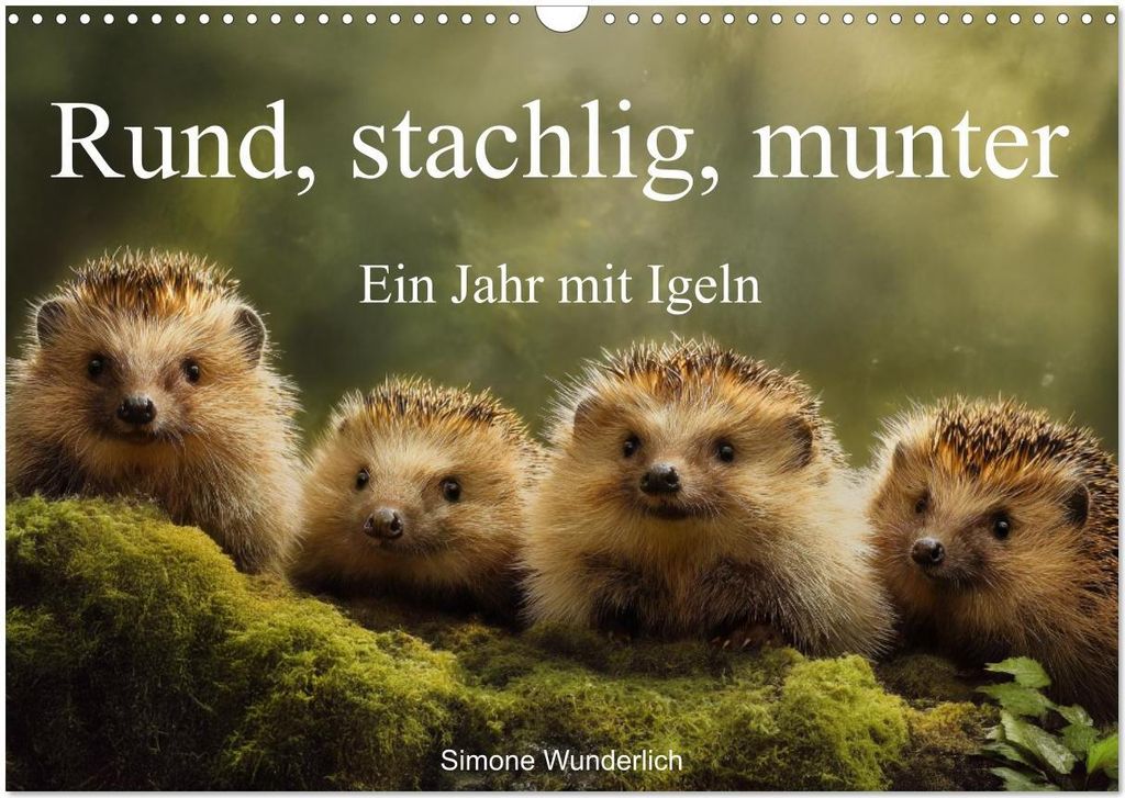 Rund, stachlig, munter - Ein Jahr mit Igeln (Wandkalender 2026 DIN A3 quer), CALVENDO Monatskalender