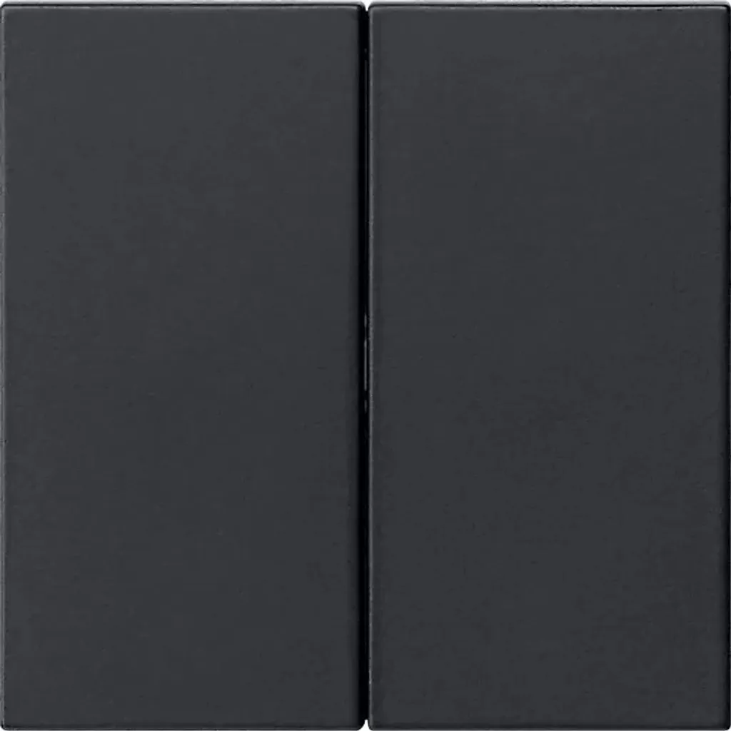 Contrôle intelligent 2x sw noir 5362005 avec double interrupteur tactile