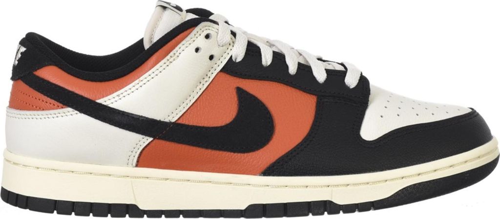 Schuhe Nike Dunk Low Retro HQ4988030