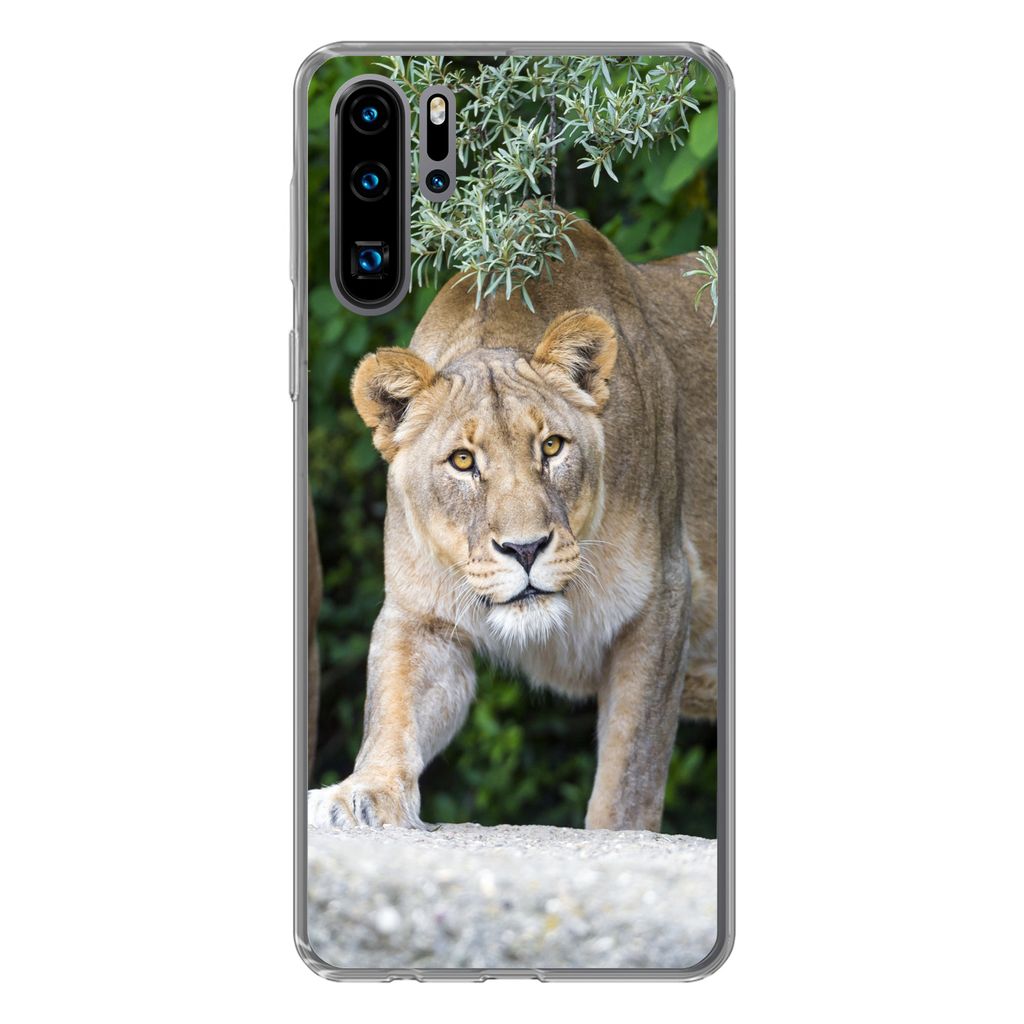 MuchoWow Handyhülle Schutzhülle Hülle für Huawei P30 Pro Löwinnen - Wilde Tiere - Jagd Silikon Softcase Handy Hülle - Schutzdeckel