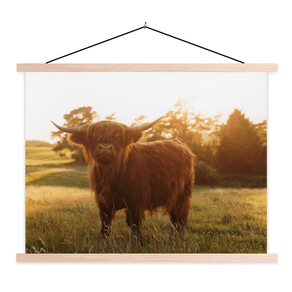 MuchoWow Textilposter Schottischer Hochländer - Gras - Sonne 60x45 cm mit holzfarbenen Rahmen - Bild