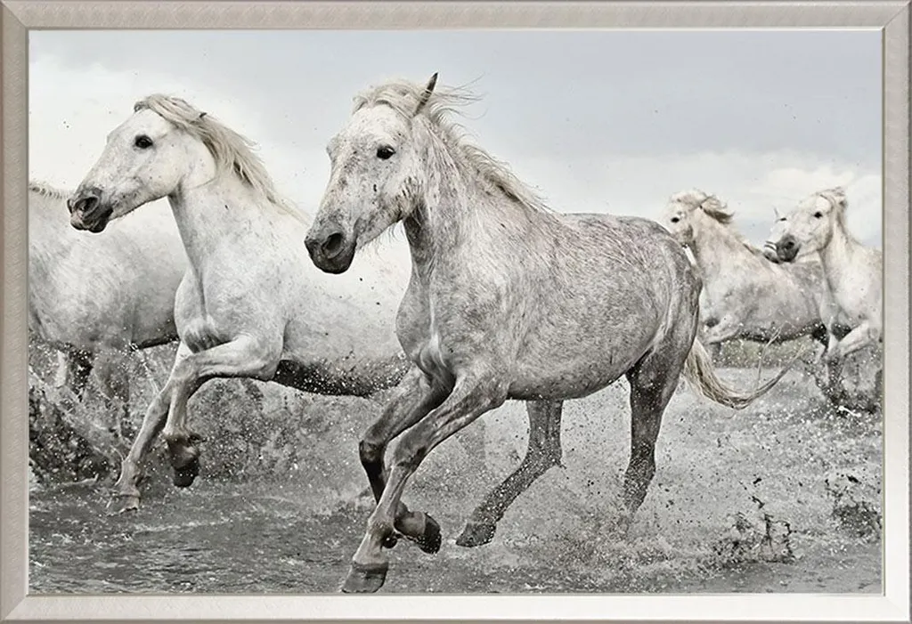 Poster Cavallo Bianco con Cornice Shinsuke Maxi Alluminio Argento - 61x91