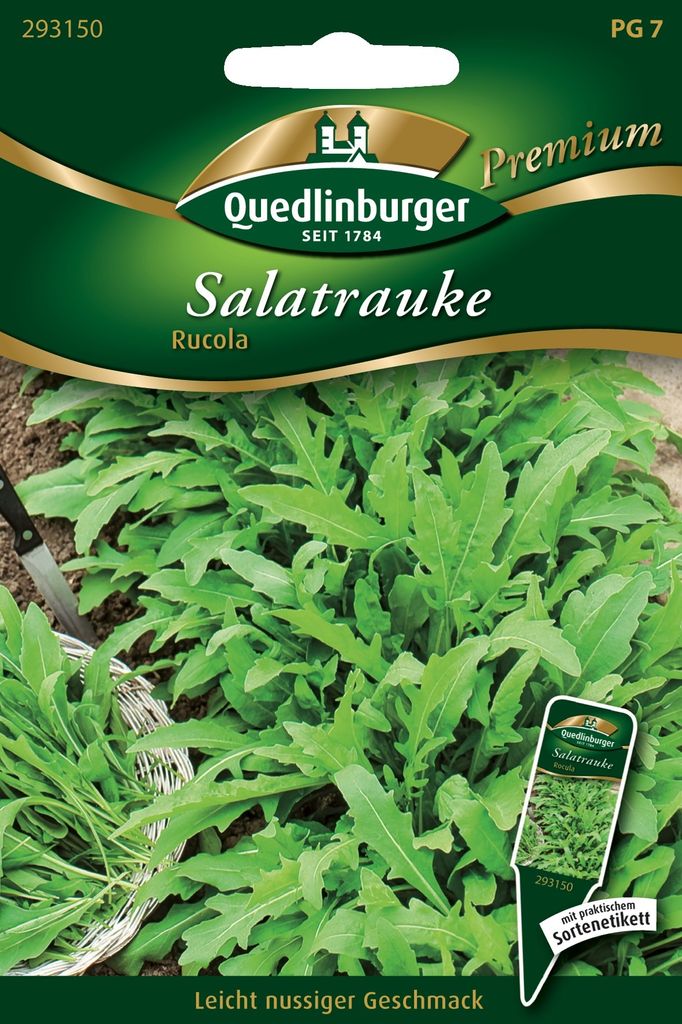 Quedlinburger Saatgut - Rauke Salat - Samen - 293150