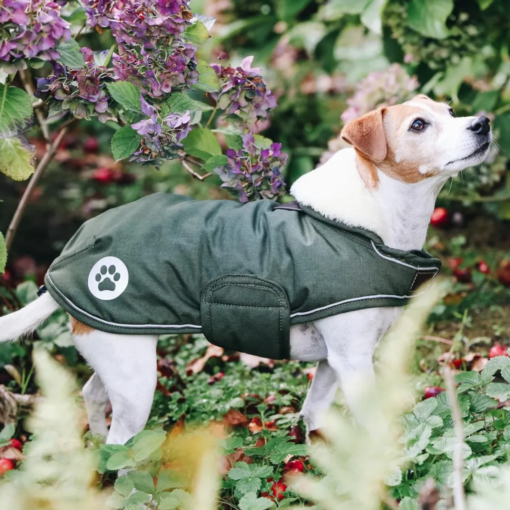Kentucky Dogwear 300g XXL Cappotto Cane Invernale Verde Oliva