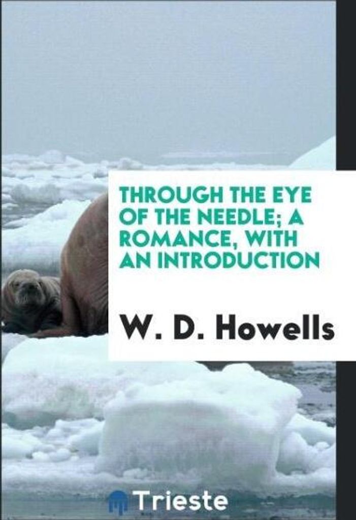 Through the eye of the needle; a romance, with an introduction