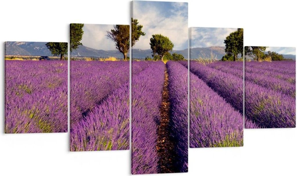 Bild auf Leinwand - Leinwandbild - Landschaft Wiese Pflanzen - 125x70cm - Wand Bild - Wanddeko - Leinwanddruck - Bilder - Kunstdruck - Wanddekorati...