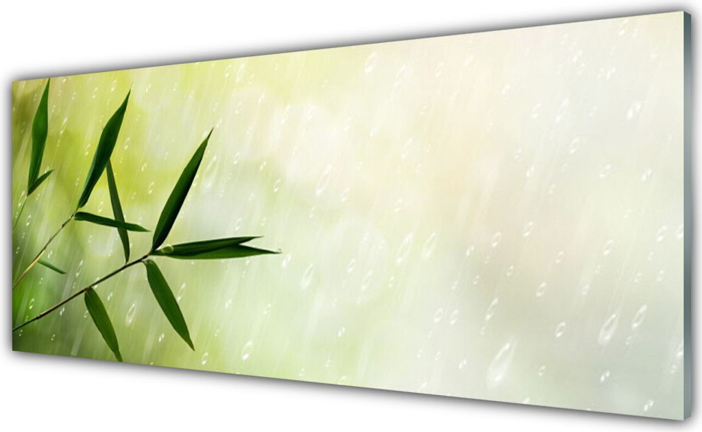 Glasbilder 125x50 Wandbild Druck auf Glas Blätter Regen Pflanzen