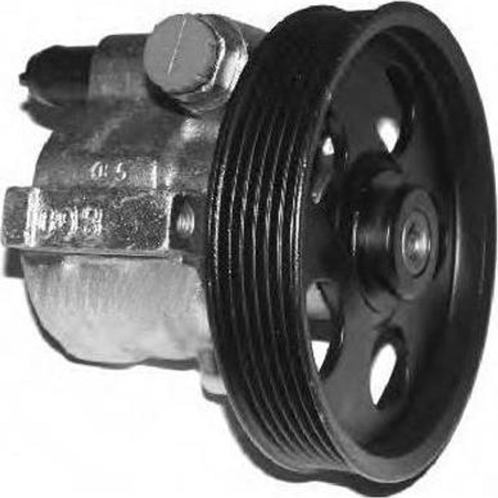 GENERAL RICAMBI PI0356 Hydraulikpumpe, Lenkung OE 7700823737 kompatibel mit Scenic, Megane, Laguna, Sandero, Logan, Duster