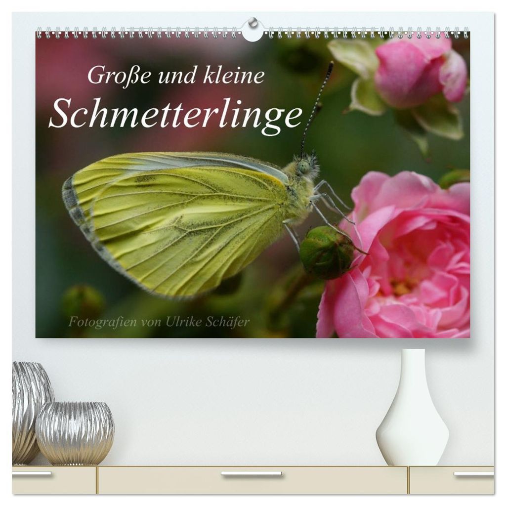 Große und kleine Schmetterlinge (hochwertiger Premium Wandkalender 2027 DIN A2 quer), Kunstdruck in Hochglanz