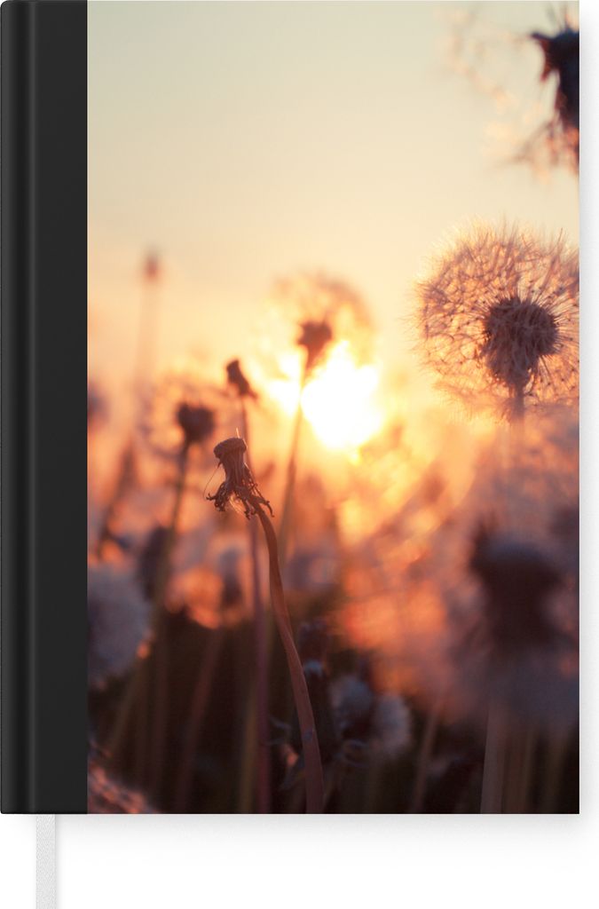 MuchoWow Notizbuch Tagebuch Haushaltsbuch Notebook A5 Löwenzahn - Sonnenuntergang - Frühling - Notizblock - Notizheft - Notebook - Schreibblock...
