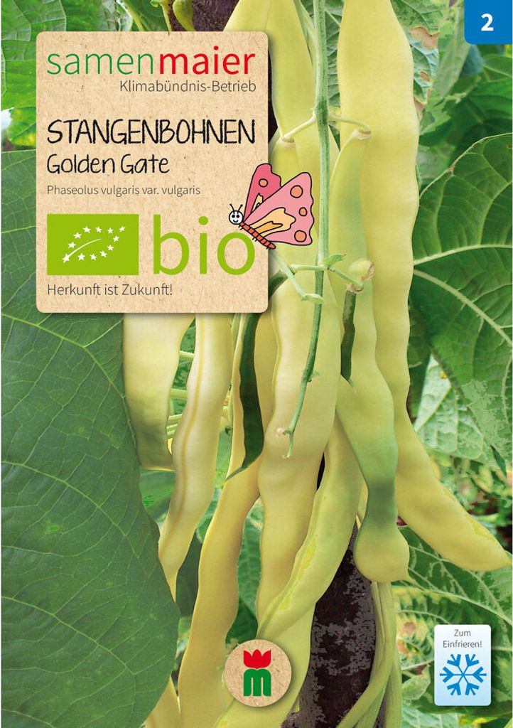 Stangenbohnen Golden Gate - Saatgut für zirka 25 Pflanzen Produktbild 