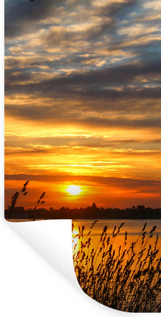 MuchoWow Wandtattoo Wandsticker Wandaufkleber Sonnenuntergang - Meer - Horizont - Himmel - Pflanzen 80x160 cm Selbstklebend und Repositionierbar ...