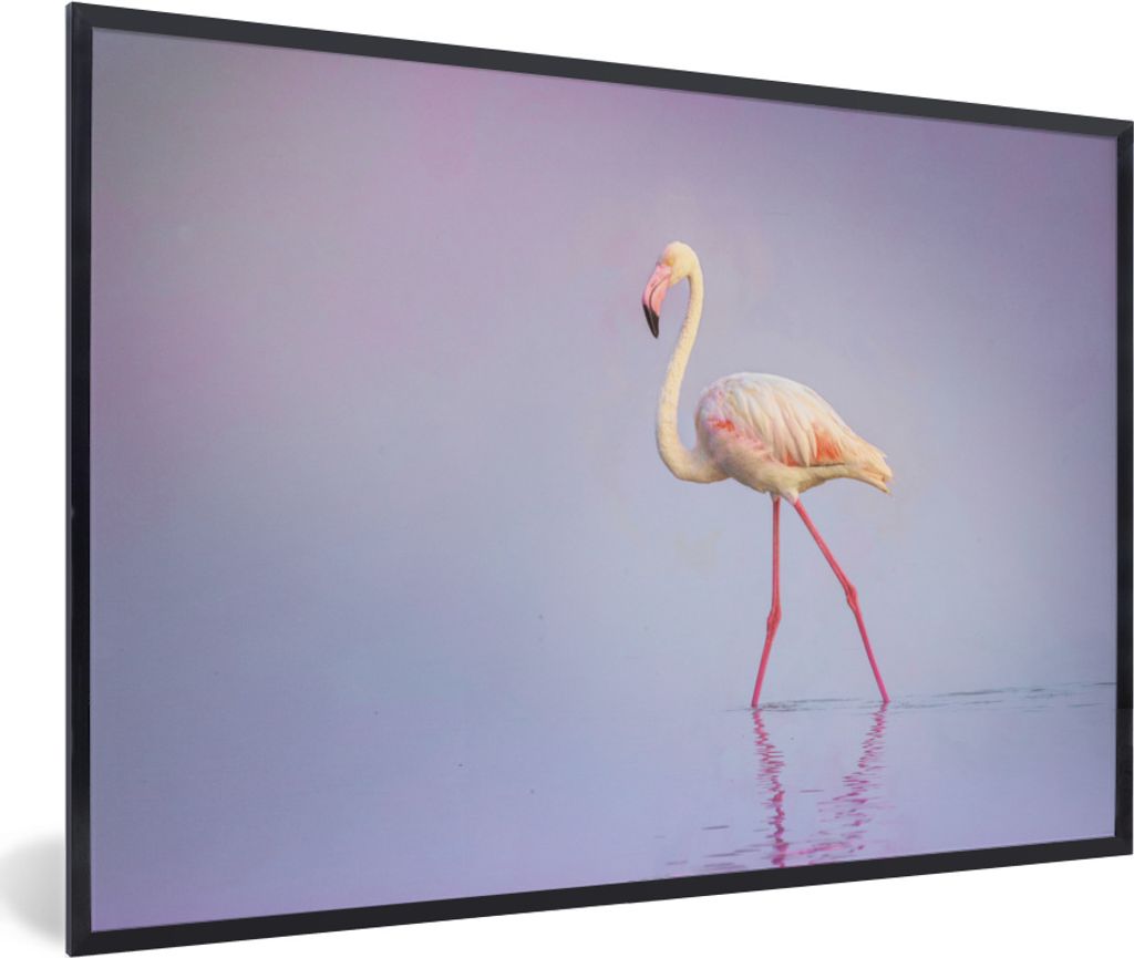 MuchoWow MuchoWow Gerahmtes Poster Flamingo - Wasser - Rosa 30x20 cm - Poster mit zchwarzem Bilderrahmen - Kunstdruck - Bild-Poster