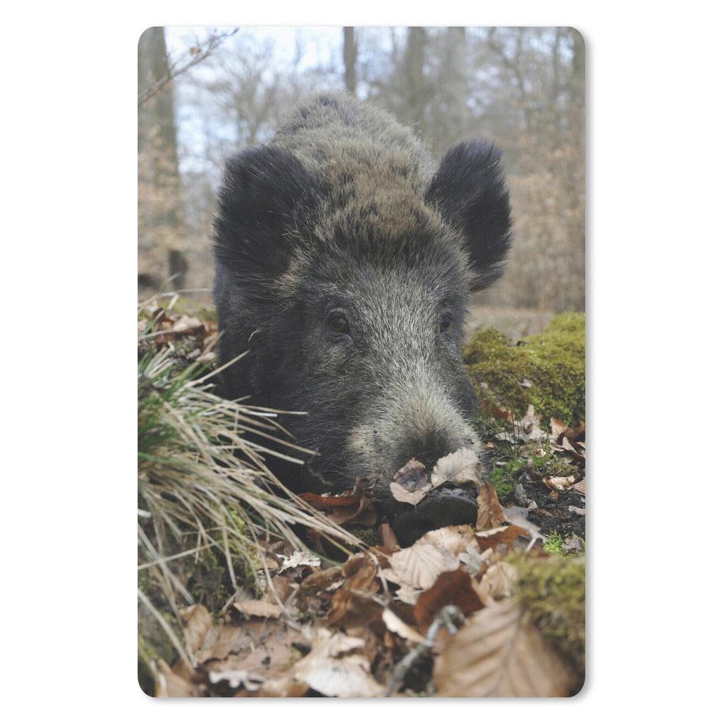 MuchoWow Mauspad Mousepad Wildschwein - Wald - Tier 18x27 cm - Mousepads - Maus Mat - Pad - Mausunterlage