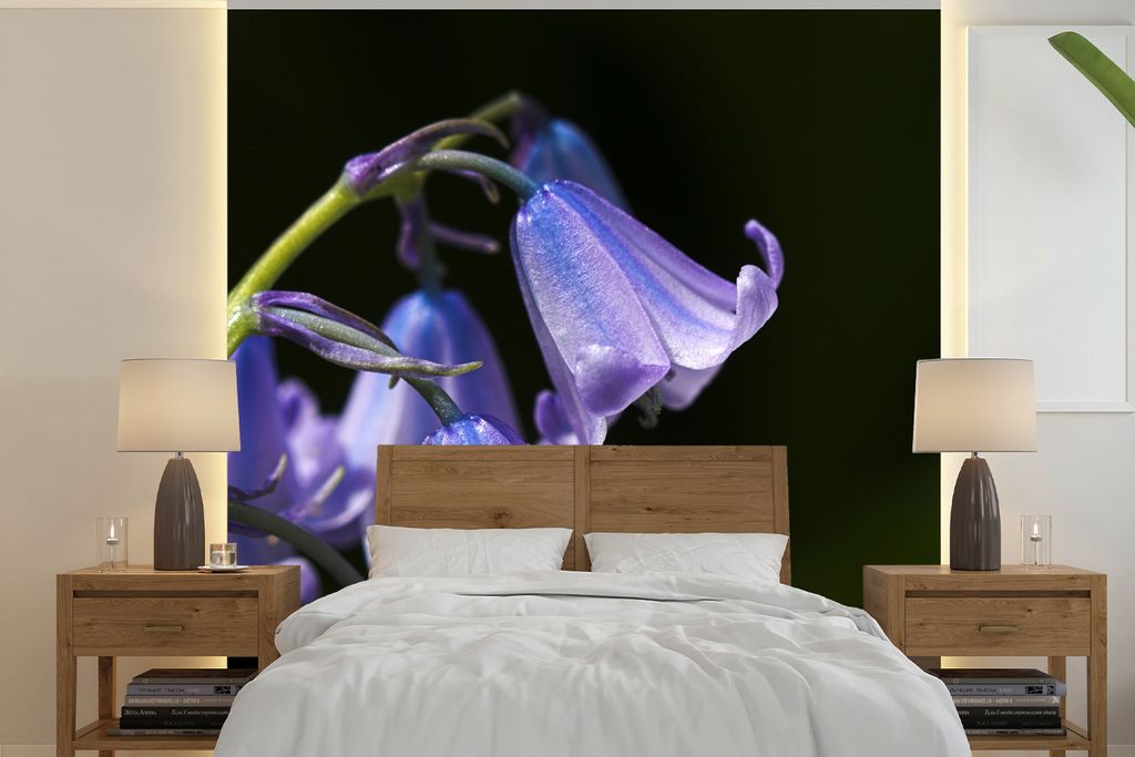 MuchoWow Fototapete für Wohnzimmer oder Schlafzimmer Wandtapete Vinyl Motivtapete Nahaufnahme der violetten Blüten einer Sternhyazinthe - 300x3...