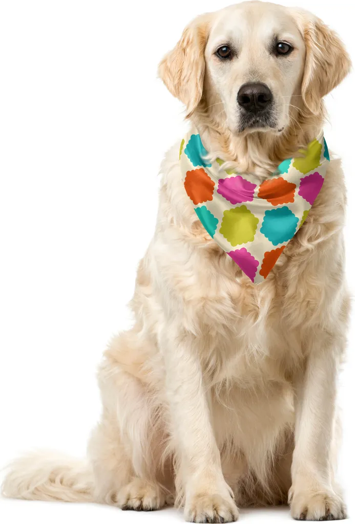 Bandana Design ABAKUHAUS per Cani e Gatti | 55x55 cm Multicolore