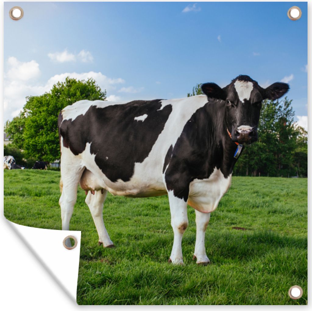 MuchoWow 50x50 cm Outdoor-Poster Gartendeko Sichtschutz Garten Poster für den Garten Kuh - Schwarz - Weiß - Niederlande