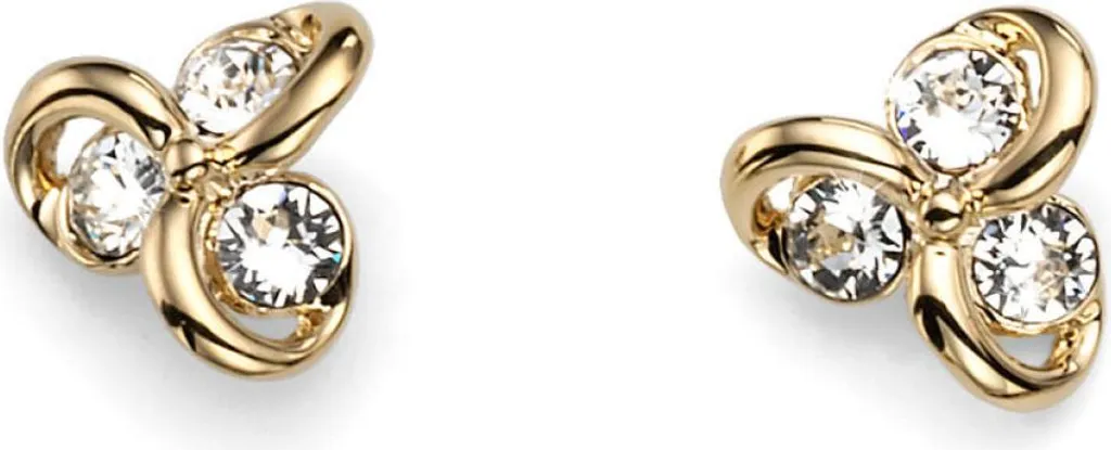 Boucles d'oreilles Compo 22406G en acier inoxydable doré brossé