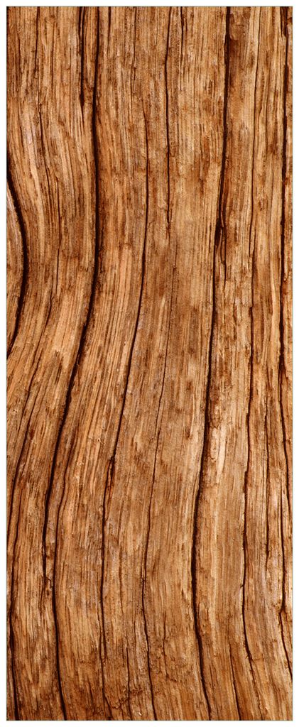 Wallario Premium Glasbild, freischwebende Optik, kräftige Farben, Größe 125 x 50 cm Motiv Holzstamm