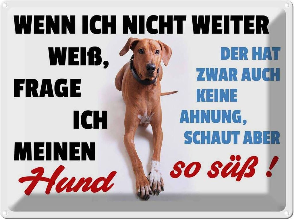 vianmo Blechschild 30x40 cm wenn ich nicht weiter weiß Hund Spruch Zitat