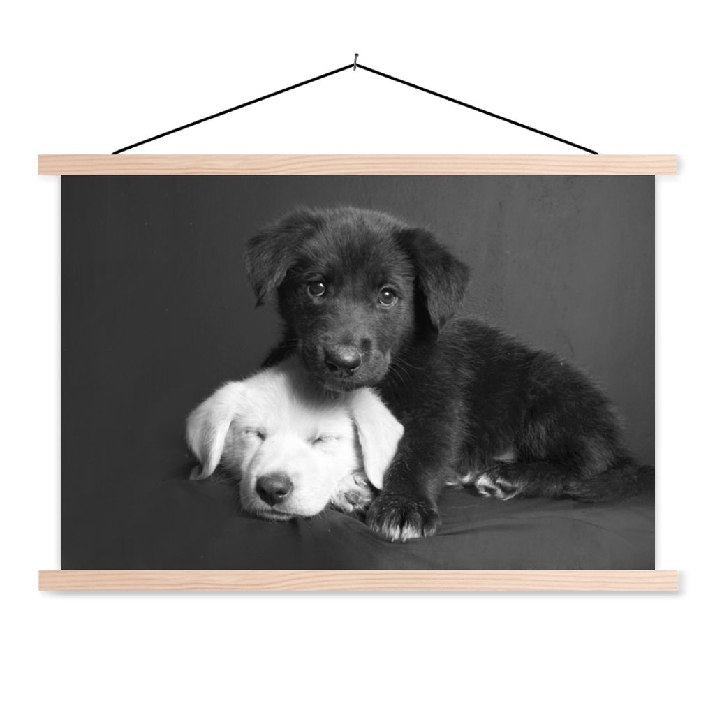 MuchoWow Textilposter Hunde - Welpe - Schwarz - Weiß - Tiere 60x40 cm mit holzfarbenen Rahmen - Bilder