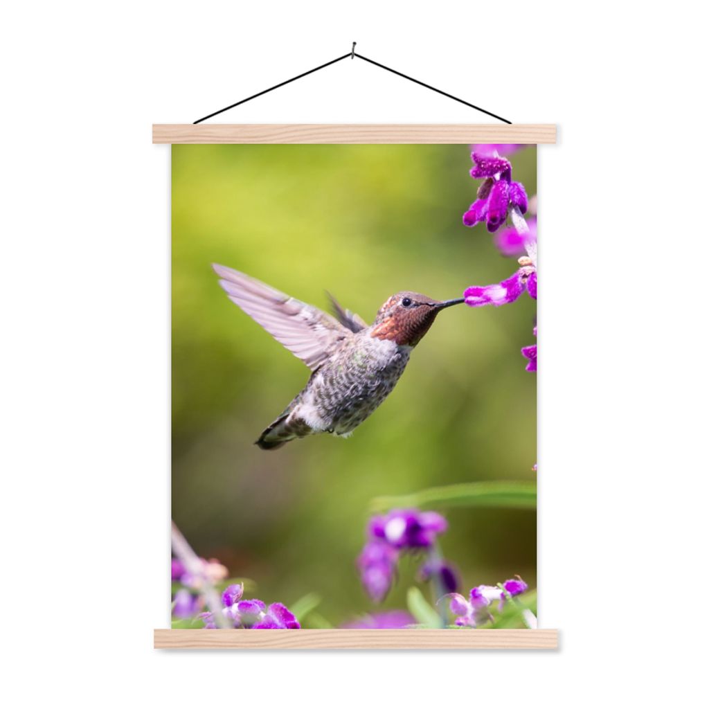 MuchoWow Textilposter Kolibri - Vogel - Natur 60x80 cm mit holzfarbenen Rahmen - Wandbild