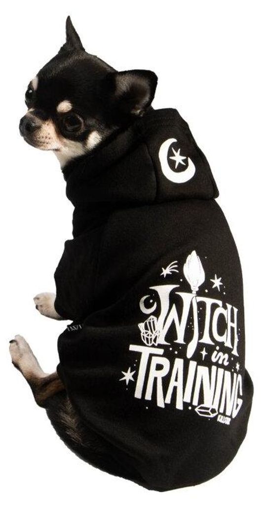 Killstar Hunde Kapuzenjacke - Witch In Training Hoodie M Produktbild 
