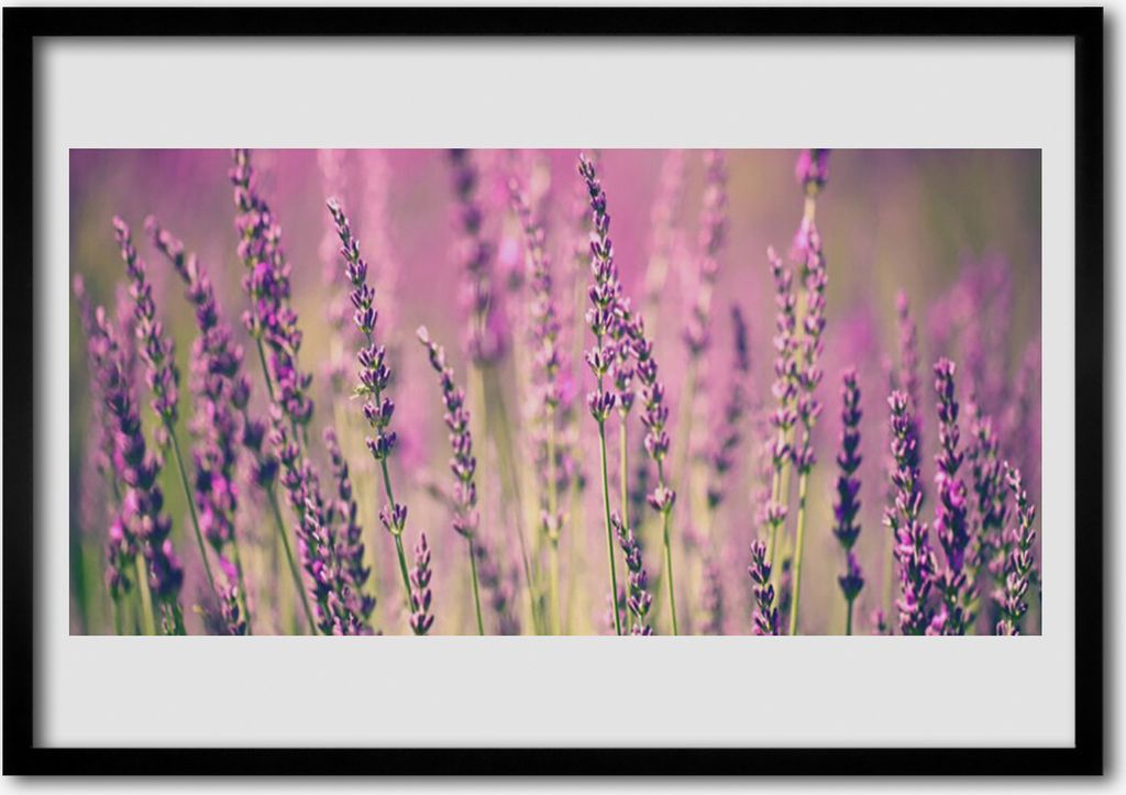 Bild 100x70 MDF-Rahmen Wandkunst Blumen Pflanzen Natur