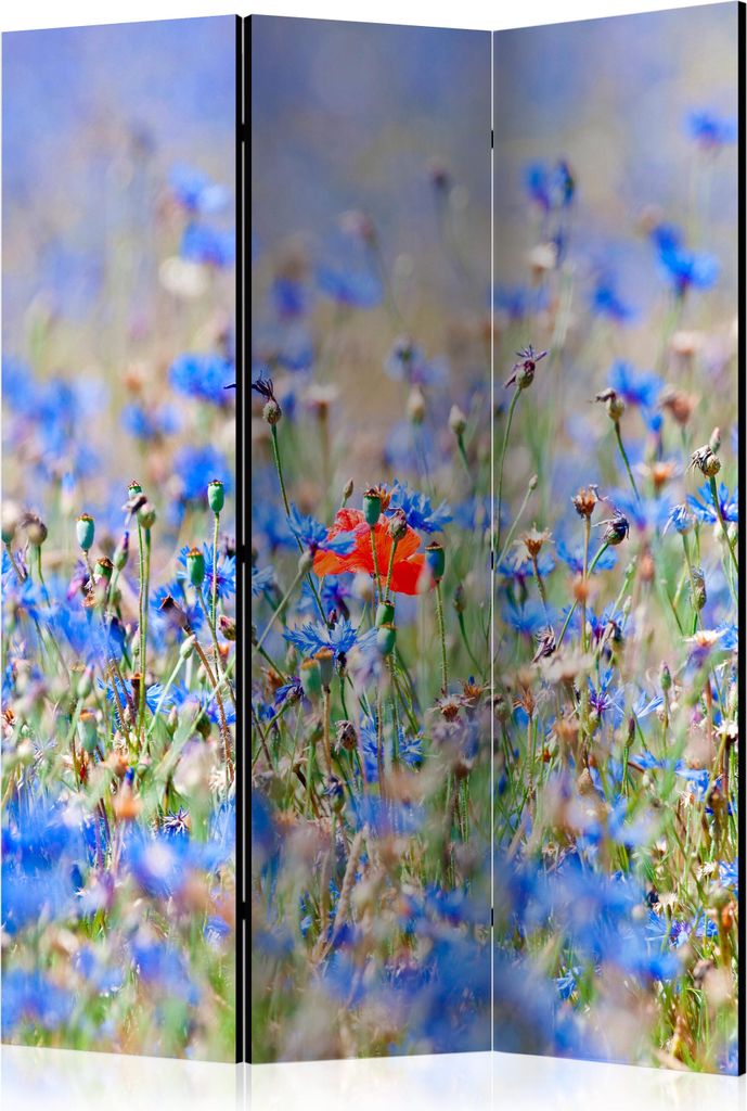 3-teiliger Doppelseitiger Vlies Paravent - A sky-colored meadow - cornflowers 135x172 cm Blumen b-C-0455-z-b